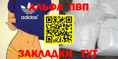 амф Новодвинск